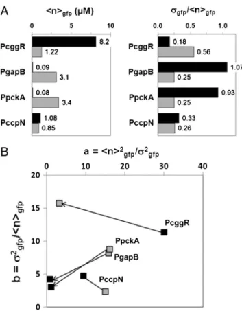 Fig. 3. Changes in promoter activity levels and noise patterns upon a switch of carbon source