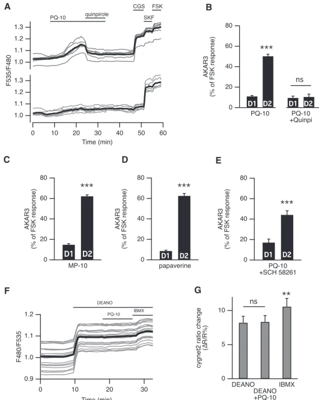 Figure 3. A, Activation of D 2 dopamine receptors suppressed the effect of PDE10A inhibition on AKAR3 ratio