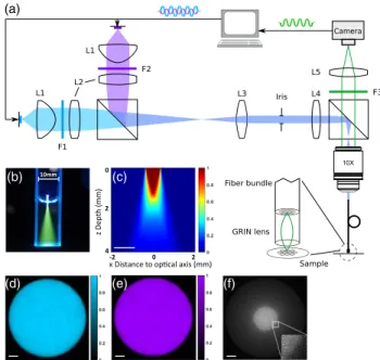 Fig. 2. Fluorescence endoscopy setup for Speed-OPIOM imaging.