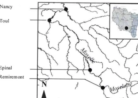 Figure  5. -  Localisation des cours d'eau étudiés dans lq zone atelier Moselle