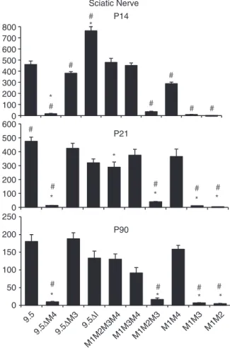 Figure 4. Expression phenotypes of mbp reporter constructs in Schwann cells. Graphs show levels of b-galactosidase activity realized from mbp regulated reporter constructs in the sciatic nerves of  trans-genic mice at P14, P21 and P90