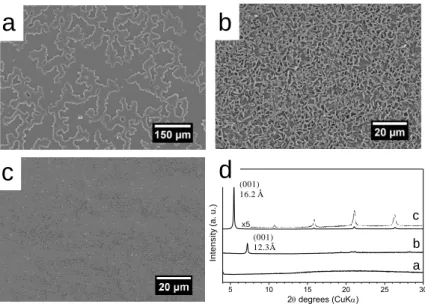 Figure  3.  SEM  micrographs  of  BC n SQ  samples  derived  from  BC n TMS  precursors 206 