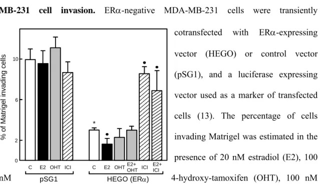 Figure 2: Effect of ERα transient transfection and estradiol treatment on MDA- MDA-MB-231 cell invasion