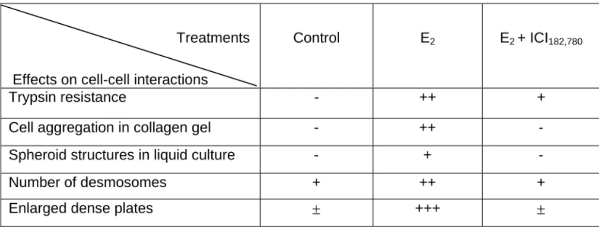 Table I. Effects of estradiol and ICI 182,780  on cell-cell interactions. Steroid-stripped  MCF7 cells were treated for 5 days with 1nM estradiol (E2), 1nM E2 + 1µM ICI  182,780