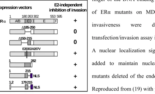 Figure 3: E2-independent inhibition of cancer cell invasion requires the first zinc  finger of the DNA binding domain