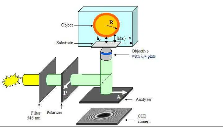 Figure 1: Schematic of a reflection contrast microscopy (RICM) set up.  