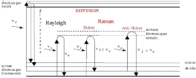 Figure II.4 : Description du principe de la diffusion Raman en fonction des niveaux  énergétiques quantifiés de la molécule 