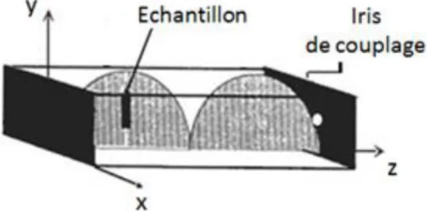 Figure  III-10. Le champ électrique dans la cavité (TE 102 ).