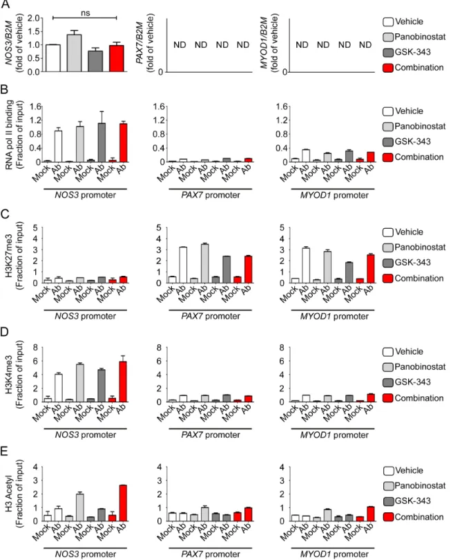 Figure  S5  (related  to  Figure  3):  Pharmacologic  treatment  of  ECFCs  with  EZH2  and  HDAC  inhibitors does not change the expression of highly expressed or completely repressed genes