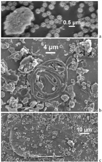 Fig. 4. Low-resolution SEM image of stage-1 deposits, (a) RT (as- (as-prepared), and after sample heating to different temperatures, (b) 200 ◦ C, (c) 400 ◦ C, (d) 440 ◦ C, (e) 480 ◦ C, and (f) 520 ◦ C