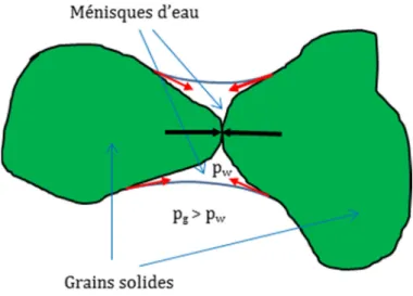Fig 2-6. Illustration du phénomène capillaire pour des ménisques d’eau 