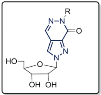 Figure 4. Dérivé de la ribofuranosylpyrazolo [3,4-d] pyridazine-7-one 