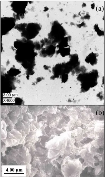 Fig. 1. (a) TEM and (b) SEM images of SWy-2 particles.