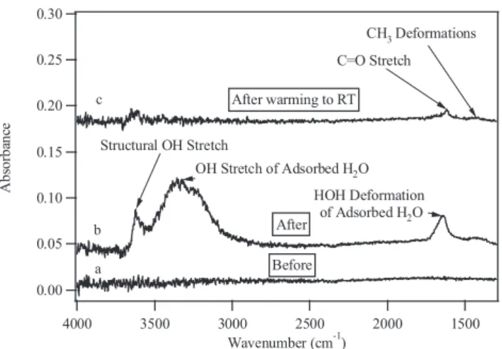 Fig. 2. FT-IR spectra collected (a) before and (b) after exposure of a 1.2 mg SWy-2 sample to 1.3×10 −4 hPa acetic acid at 212 K and 29% RH