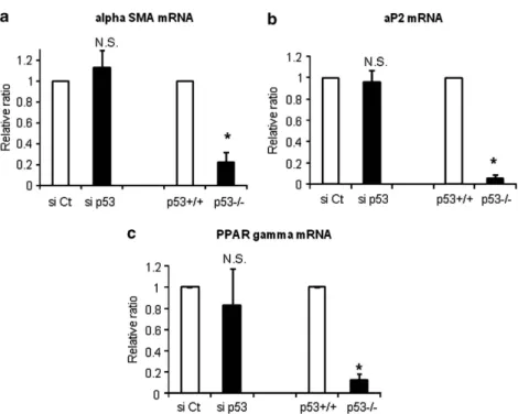 Figure 7 Effects of anti-p53 siRNAs or homozygote gene knockout of p53 on the expression of master genes of ESC commitment