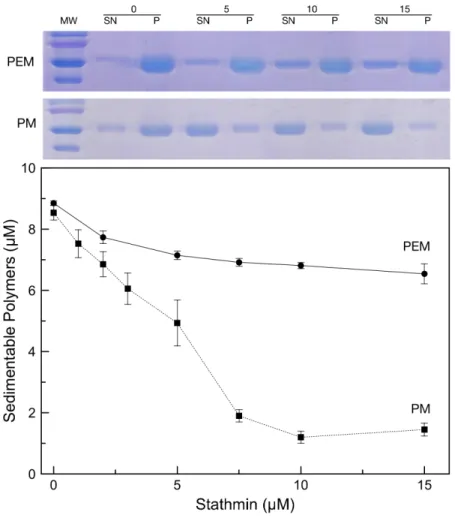 Fig 3. Effect of the buffer on stathmin depolymerizing activity. Samples containing various concentrations of stahtmin (0 – 15 μ M) added to paclitaxel stabilized microtubules (10 μ M tubulin) were sedimented and the amount of tubulin in the supernatants (