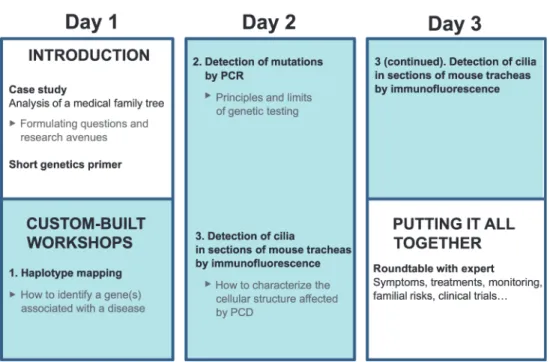 Fig. 1 summarizes the training session that we organized for PCD, which comprised a case study, three practical workshops, and a roundtable with an expert
