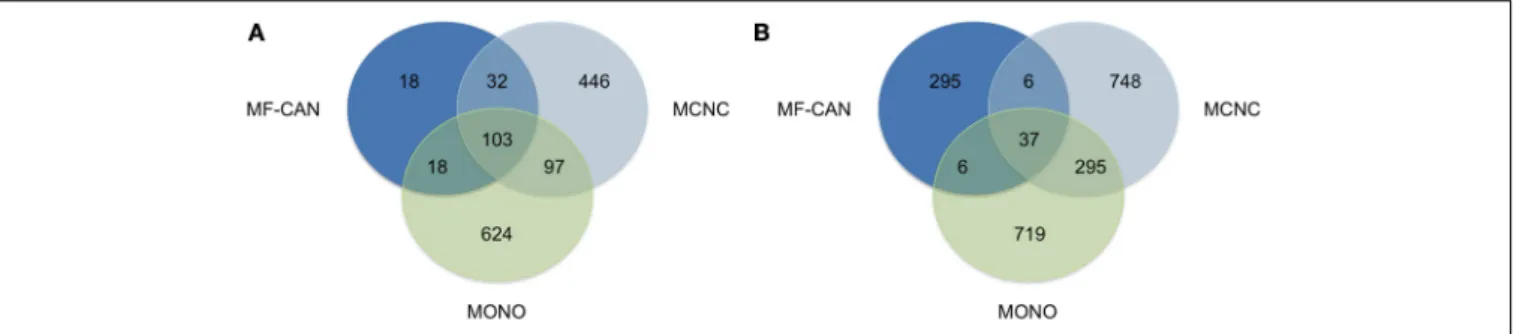 FIGURE 2 | Shared disease phenotypes and pairs among MF-CAN, MCNC, and MONO proteins. (A) Most of the MF-CAN proteins are annotated with OMIM disease annotations also present in the other categories, whereas (B) they are associated with specific combinatio