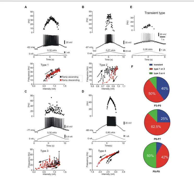 FIGURE 5 | Five patterns of discharge recorded in response to current ramp stimulation in postnatal lumbar motoneurons (n = 38)