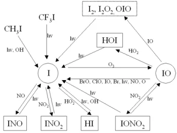 Table 2. Iodine catalytic cycles.