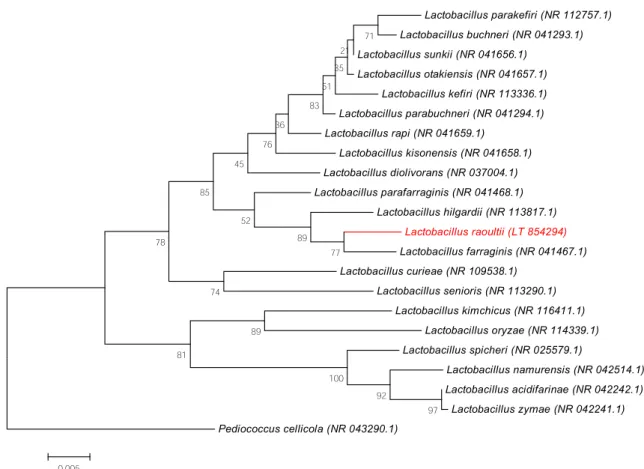 FIG. 1. Phylogenetic tree showing positioning of ‘ Lactobacillus raoultii ’ strain Marseille P4006 relative to its phylogenetically closest bacterial species with standing in nomenclature