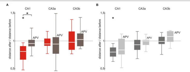 FIGURE 5 | SPW-R stabilization depends on NMDA receptor activation in CA1 but not in CA3