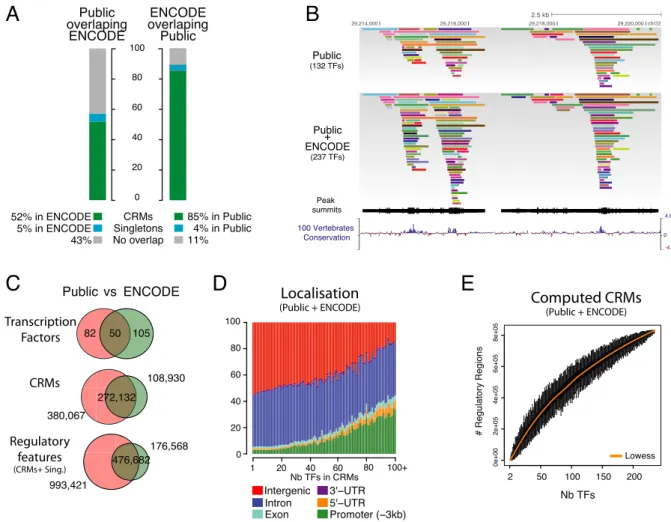 Figure 3. Comparison with ENCODE and integration with public data. (A) Comparisons of public regulatory regions versus ENCODE regions