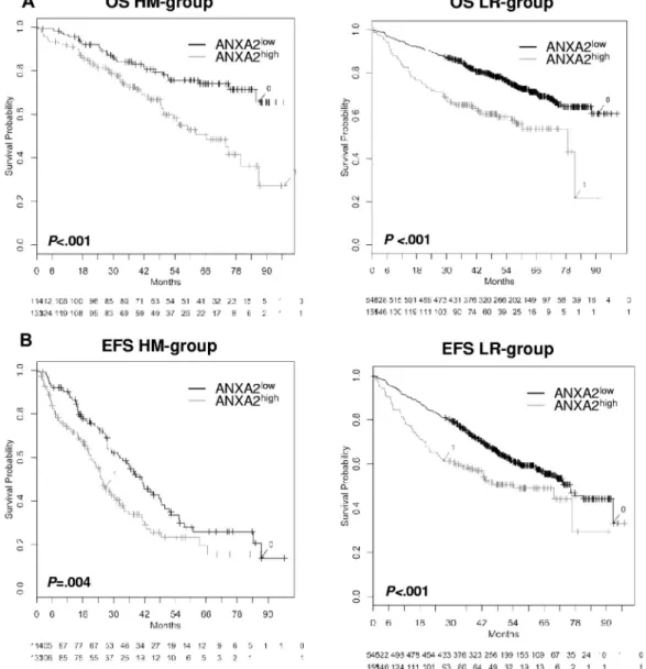 Figure 3. Effect of ANXA2 expression on EFS and OS.OS (A) and EFS (B) for our patients (HM group; n ⫽ 247) and the LR group (n ⫽ 701)