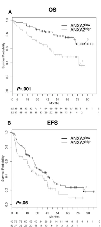 Figure 4. Effect of ANXA2 expression within the BM on EFS and OS. Shown are OS (A) and EFS (B; n ⫽ 154)