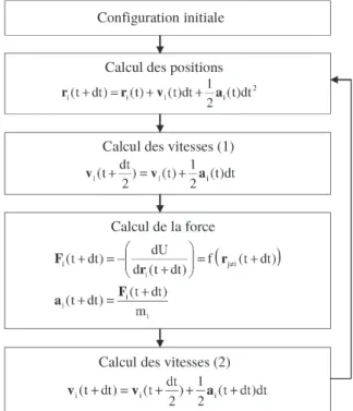 Figure 2.3 – Sch´ema d’int´egration num´erique : l’algorithme de Verlet.