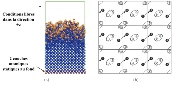 Figure 2.4 – Conditions aux limites utilis´ees dans la simulation. (a) Conditions fix´ees/libres dans la direction axiale