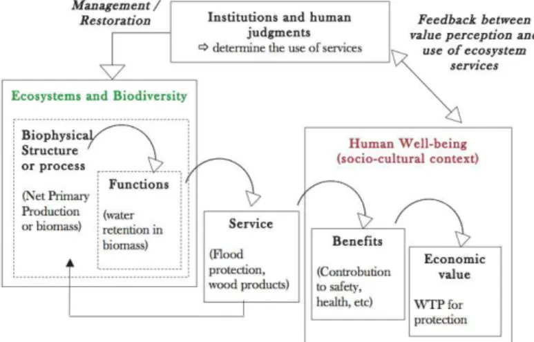 Figure 1 – Adapted from Young and Potschin, 2009