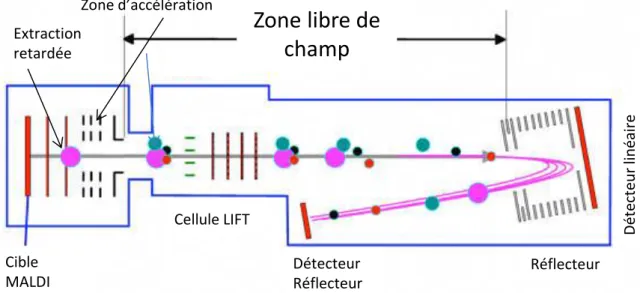 Figure 8 : MALDI-TOF/TOF avec un système d’extraction retardé, une cellule LIFT et un réflecteur électrostatique