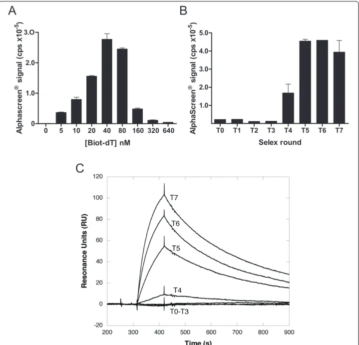 Figure 4 Screening of oligonucleotide pools. (A) TAR-R06 aptamer complexes were monitored as in Figure 2 except that a 5 ’ extended TAR (rA-TAR) was immobilized on the beads through a biotinylated anchor oligonucleotide (biot-dT) (Figure 2C)