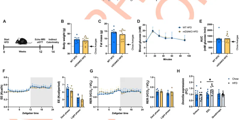 Fig 4. mD3AKO mice have normal body composition, glucose tolerance and energy expenditure