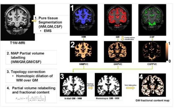 Figure .1: Overall process for topology-corrected PV estimation in MR images