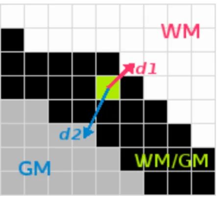 Figure .5: Schematic view of the local tissue averages for a given mixed voxel, where d 1 and d 2 relates to the closest voxels in the pure tissues.