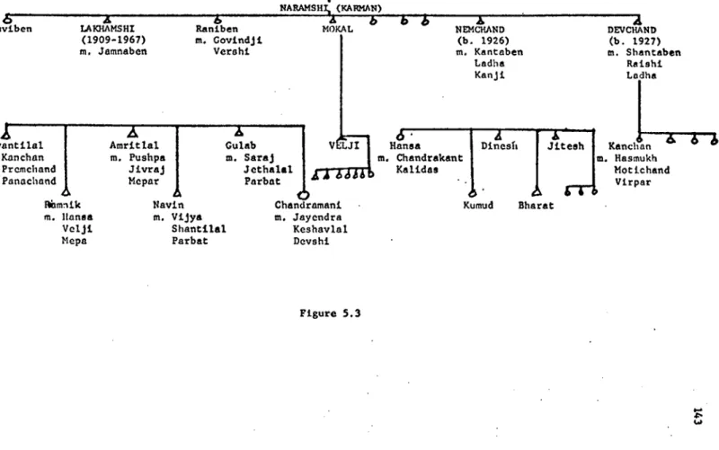 Figure 5.3 Gulab 