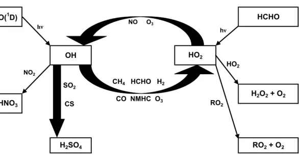 Fig. 4. Block diagram of the chemistry in the photo stationary state calculations.
