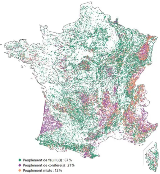 Figure 1 : Carte des répartitions des formations boisées en France par type d'essence  (IGN,  2017)