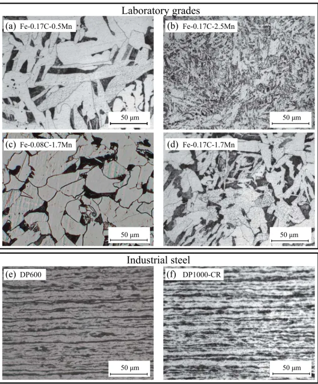 Figure 1.1: Initial microstructures of the different studied steels: (a) Fe-0.17C-0.5Mn, (b) Fe-0.17C-2.5Mn, (c) Fe-0.08C-1.7Mn, (d) Fe-0.17C-1.7Mn, (e) DP600, (f) DP1000-CR