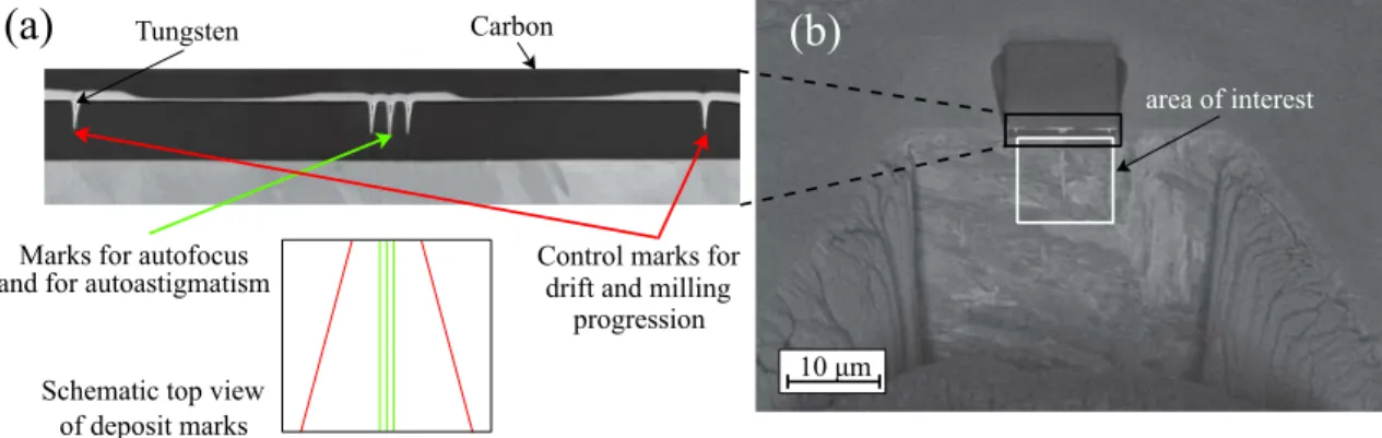 Figure 1.5: (a) Descriptive scheme concerning the carbon and tungsten deposits and (b) example of analyzed cross-section before the start of the FIB/SEM volume acquisition.