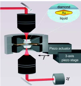Figure 2.6 – High-pressure SMS setup. The nano-objects (here represented, a gold bipyramid) are placed in the chamber formed by two diamond anvils and the walls of a Cu–Be metal gasket
