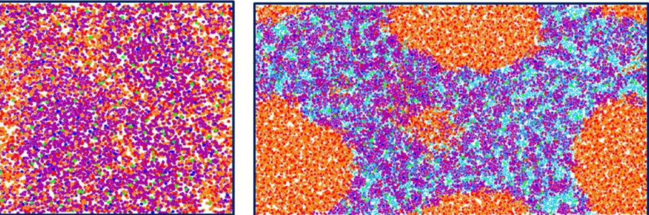 Figure 8. Snapshots from molecular dynamics simulations of ChCl:G (left) and ChCl:G-water system (right)  at 0.9 mole fraction of water