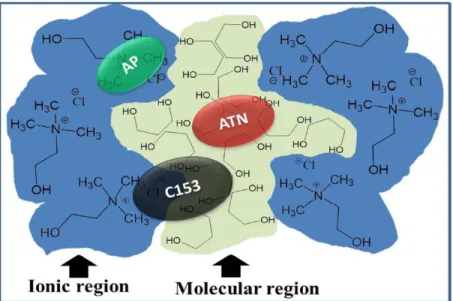 Figure 13. Illustration of the possible localization of 4-aminophtalimide (AP), coumarin 153 (C153), and  anthracene (ATN) in the heterogeneous domain-like structure of ChCl:alcohol deep eutectic system 