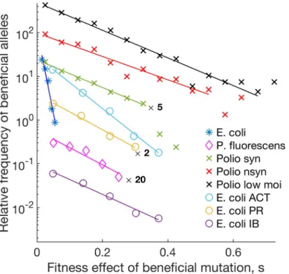 Fig 1. Different studies on distribution of fitness effects of beneficial mutations demonstrate an exponential form
