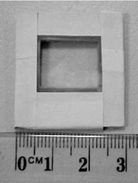 Fig. 1. A sample PPO dosimeter with the mylar film attachment.