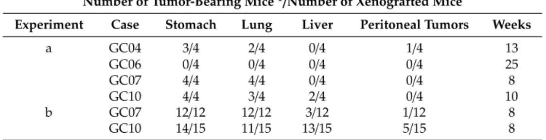 Table 1. Number of tumor-bearing mice per total of NSG mice implanted with luciferase-encoding gastric PDX cells into gastric subserosa in two independent experiments.