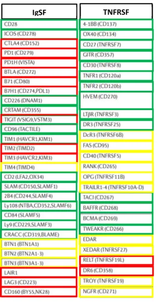 Table 2. Igs and TNFRs described as TCR immune checkpoints.  In Green: stimulatory, in Red: inhibitory  and in Yellow: categorization still unclear