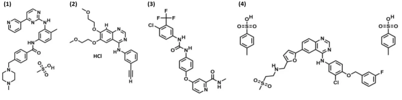 Figure 2: structures moléculaires des inhibiteurs de la tyrosine kinase étudiés (ITK)